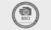 BSCI